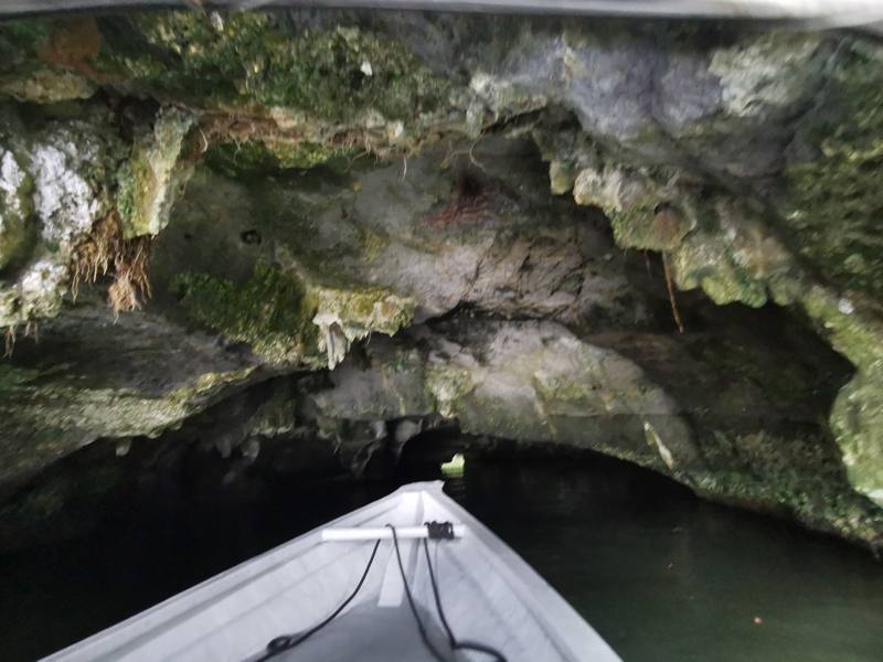 Boat entering a mangrove cave